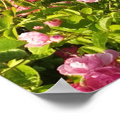 開花ロザリウム ポスター (角)