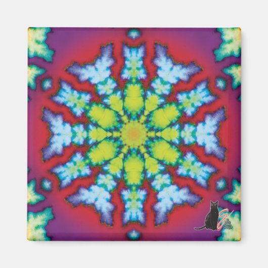 開花万華鏡のように千変万化するパターン磁石 マグネット (正面)