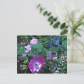 開花上の開花 ポストカード (スタンド正面)