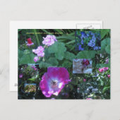 開花上の開花 ポストカード (正面/裏面)