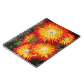 開花中の氷植物 ノートブック (左側)