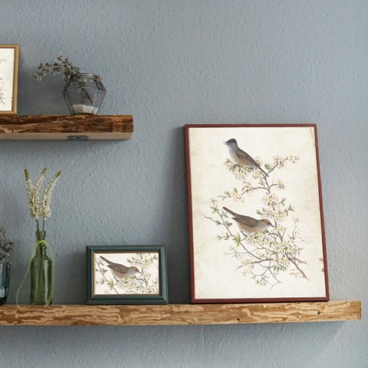 開花分岐分譲の鳥 薄葉紙