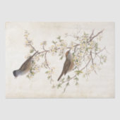 開花分岐分譲の鳥 薄葉紙 (正面)
