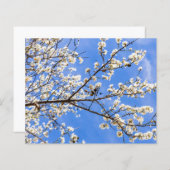 開花分岐水彩プリント – ボタニカルアート (正面/裏面)