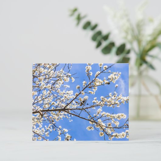 開花分岐水彩プリント – ボタニカルアート (スタンド正面)