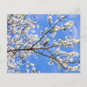 開花分岐水彩プリント – ボタニカルアート (正面)