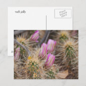 開花前 ポストカード (正面/裏面)