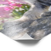 開花園の標準シュナウツァー子犬 – フォトプリント (角)