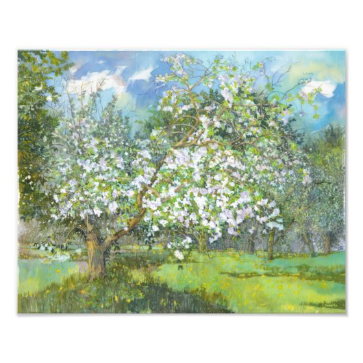 開花園 フォトプリント            (正面)