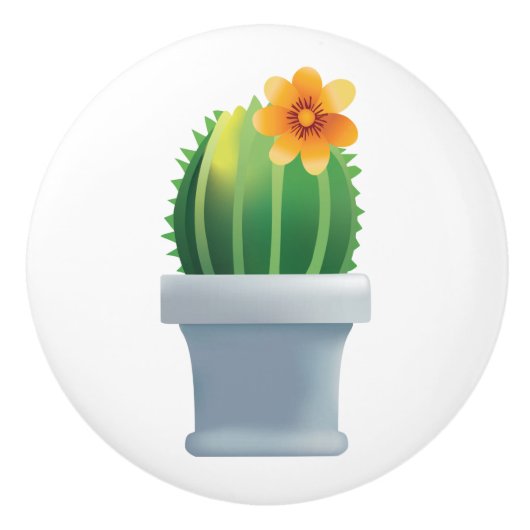 開花性エキノサク セラミックノブ (正面)