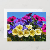 開花性眼精疲労 ポストカード (正面/裏面)