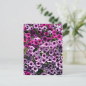 開花性眼精疲労 ポストカード (スタンド正面)