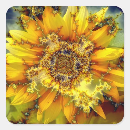 開花日 スクエアシール (正面)