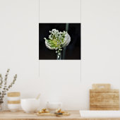 開花春タマネギ ポスター (キッチン)