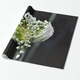 開花春タマネギ ラッピングペーパー