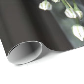 開花春タマネギ ラッピングペーパー (ロールコーナー)