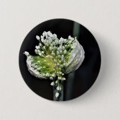 開花春タマネギ 缶バッジ (正面)