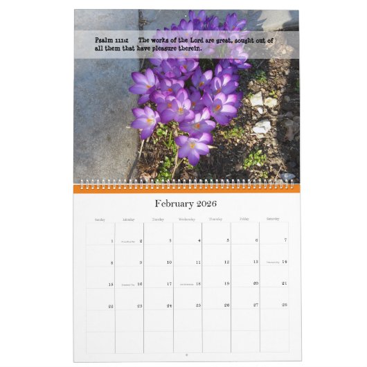 開花暦 カレンダー (2月 2026)