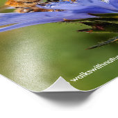 開花期ラディッキオのミツバチ フォトプリント            (角)