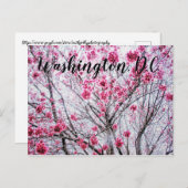 開花木の枝とさくらんぼ ポストカード (正面/裏面)