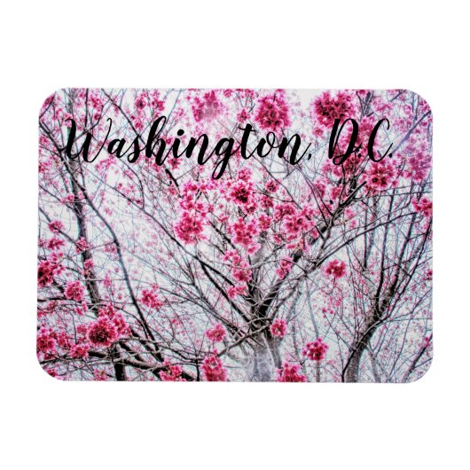 開花木の枝とさくらんぼ マグネット (横)