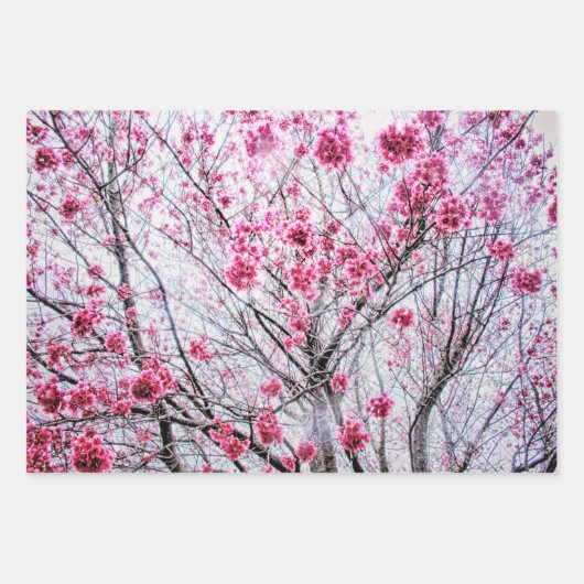 開花木の枝とさくらんぼ ラッピングペーパーシート (正面)