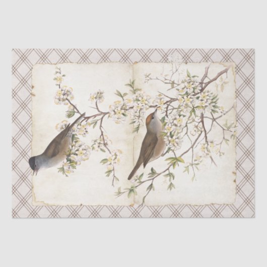開花枝パーチメントダイヤモンド上の鳥 薄葉紙 (正面)