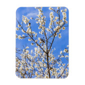 開花枝 マグネット (縦)