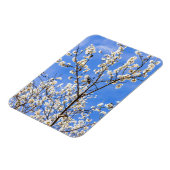 開花枝 マグネット (左側)