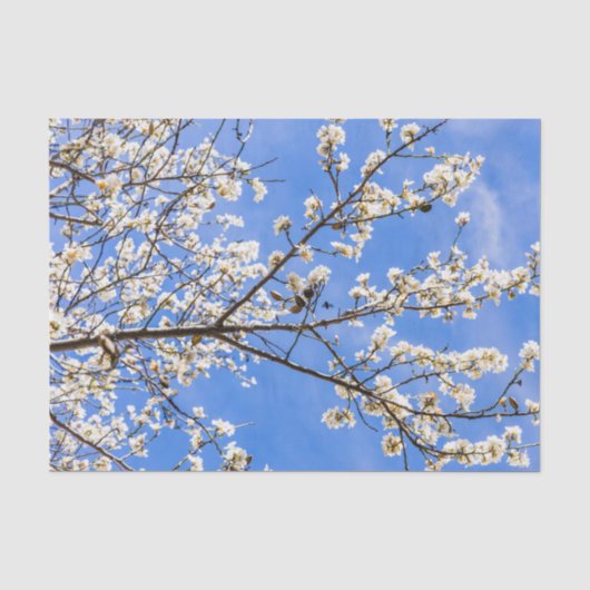 開花枝 薄葉紙 (正面)