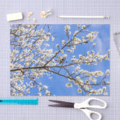 開花枝 薄葉紙 (クラフト)