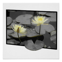 開花枠の上の光沢ポスター ポスター