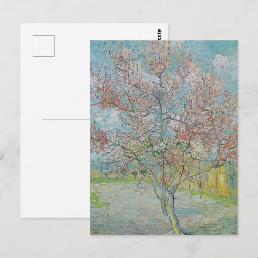 開花桃の木 ポストカード (正面/裏面)