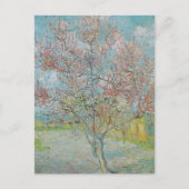 開花桃の木 ポストカード (正面)