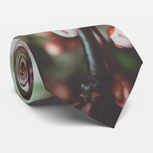 開花梅 ネクタイ (ロール)