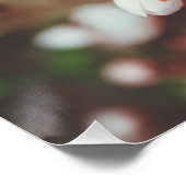 開花梅 ポスター (コーナー)