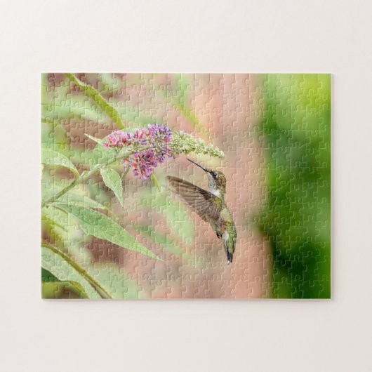開花植物のハチドリ ジグソーパズル (横)