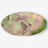 開花植物のハチドリ ペーパープレート (アングル)