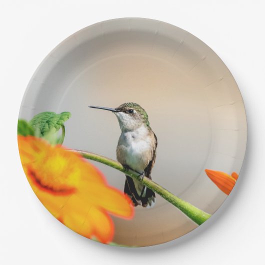 開花植物のハチドリ ペーパープレート (正面)