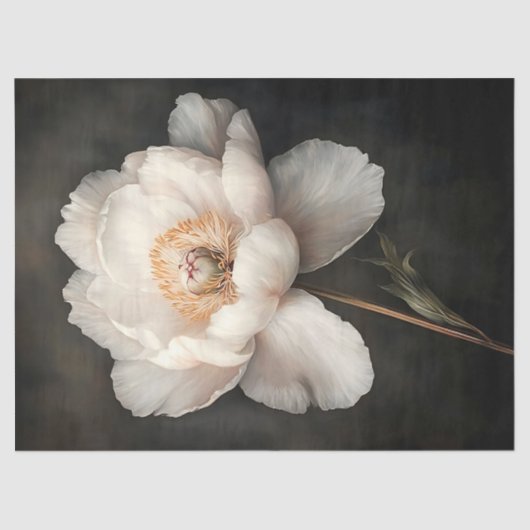 開花植物園のデコペ絵を描ージの白い牡丹 薄葉紙 (正面)