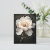 開花植物学の白絵を描牡丹 ポストカード (スタンド正面)