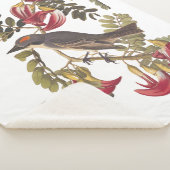 開花樹の上に灰色のキングバードオードボンバード シェルパブランケット (3/4)