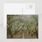 開花樹 ポストカード (正面/裏面)