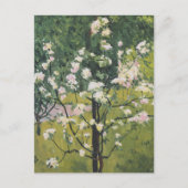 開花樹 | Kolo Moser ポストカード (正面)