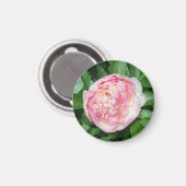 開花牡丹の準備 マグネット (正面/裏面)