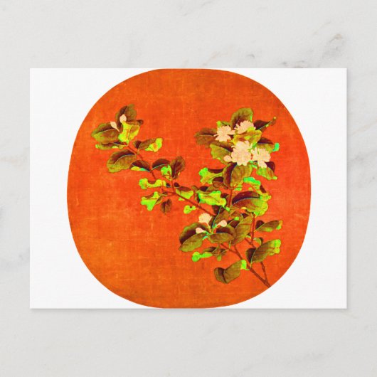 開花白ジャスミン12世紀 ポストカード (正面)