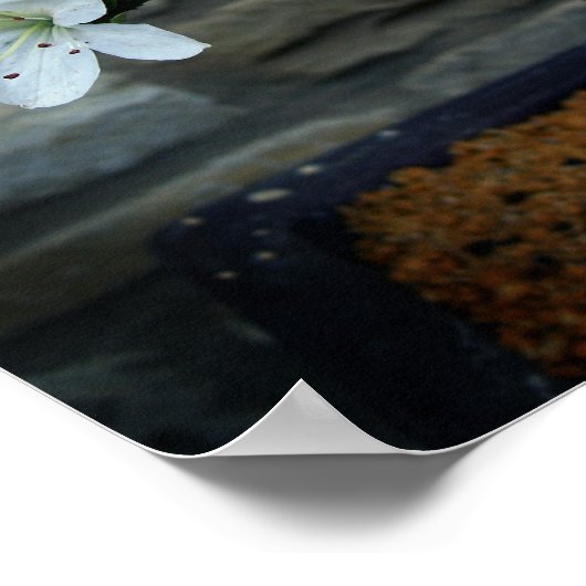 開花盆栽 ポスター (角)