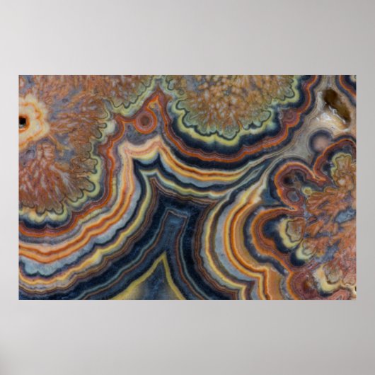 開花管オニキス ポスター (正面)