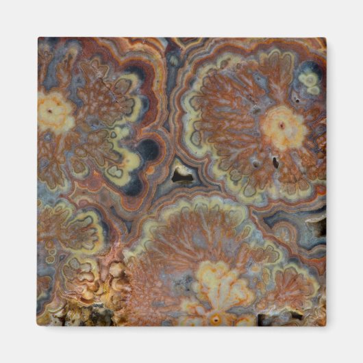 開花管オニキス マグネット (正面)