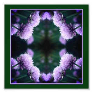 開花紫色のホタマネギ抽象芸術8x8 フォトプリント